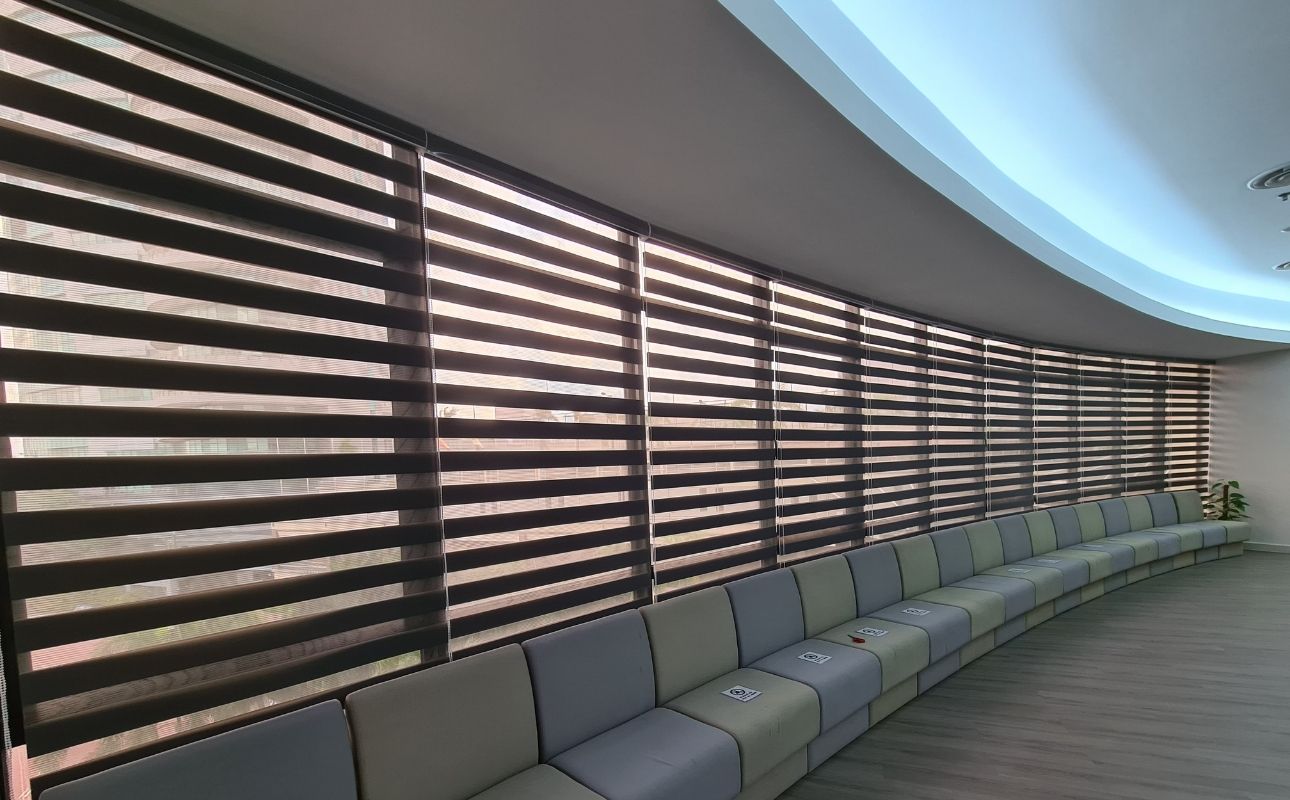 office windows zebra blinds