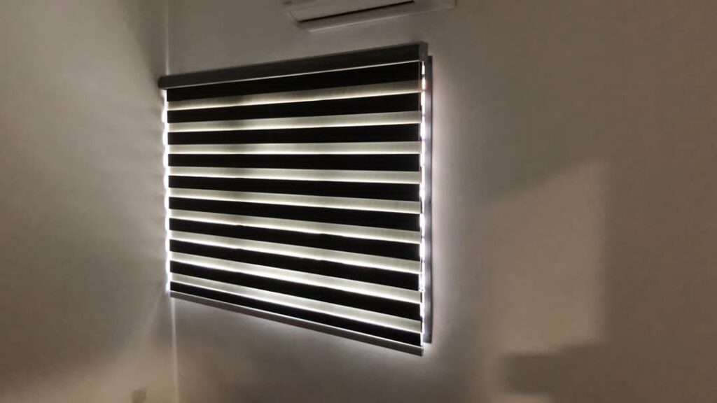 blackout zebra dual blinds