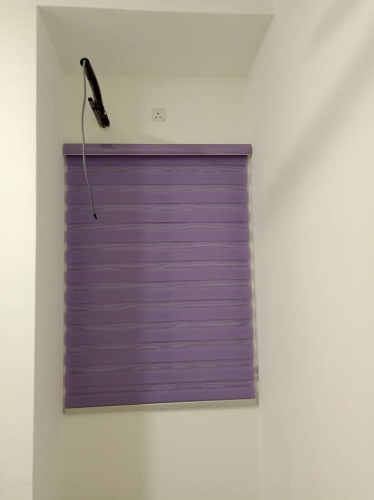 purple zebra blinds
