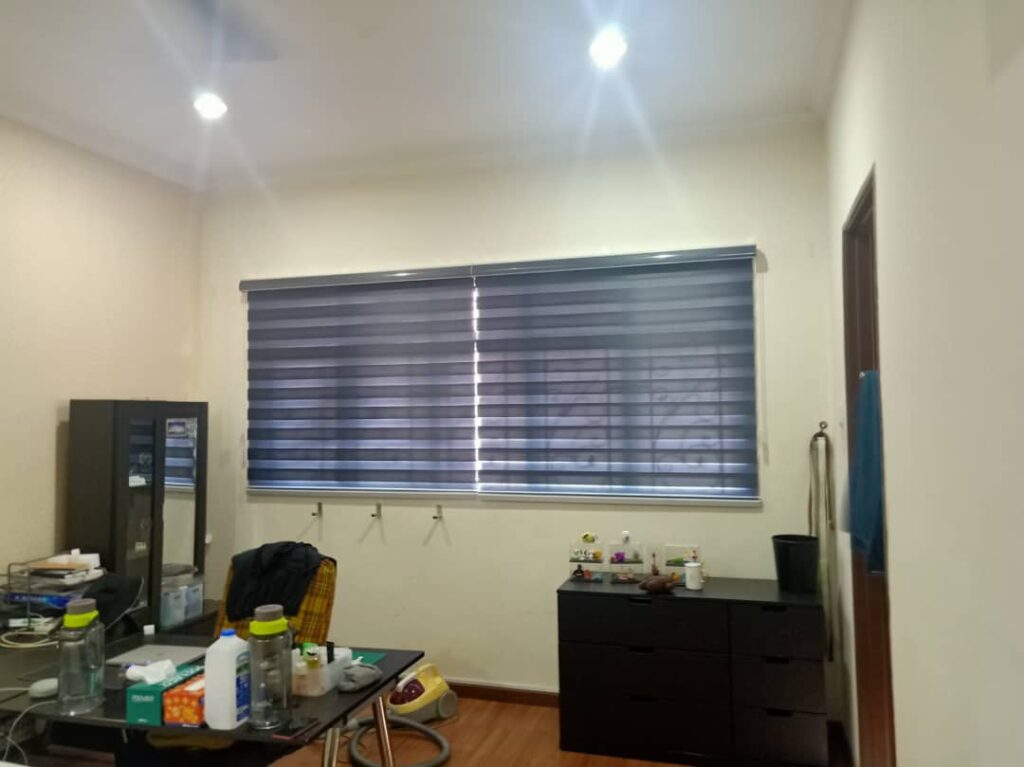 zebra blinds