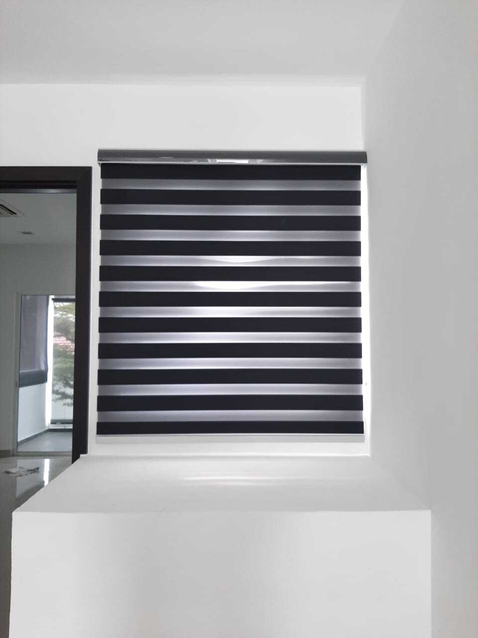 zebra blinds
