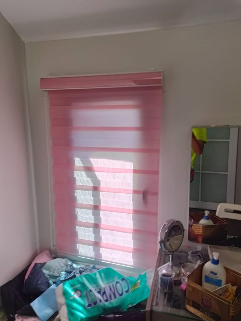 tisa zebra blinds