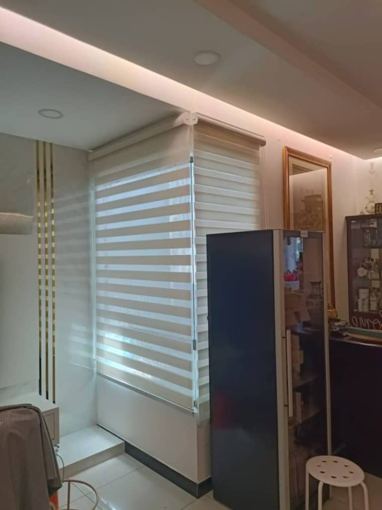 Tisa Zebra Blind